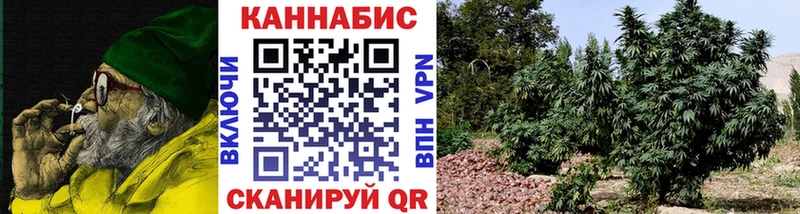 Бошки марихуана планчик KRAKEN tor Верхоянск